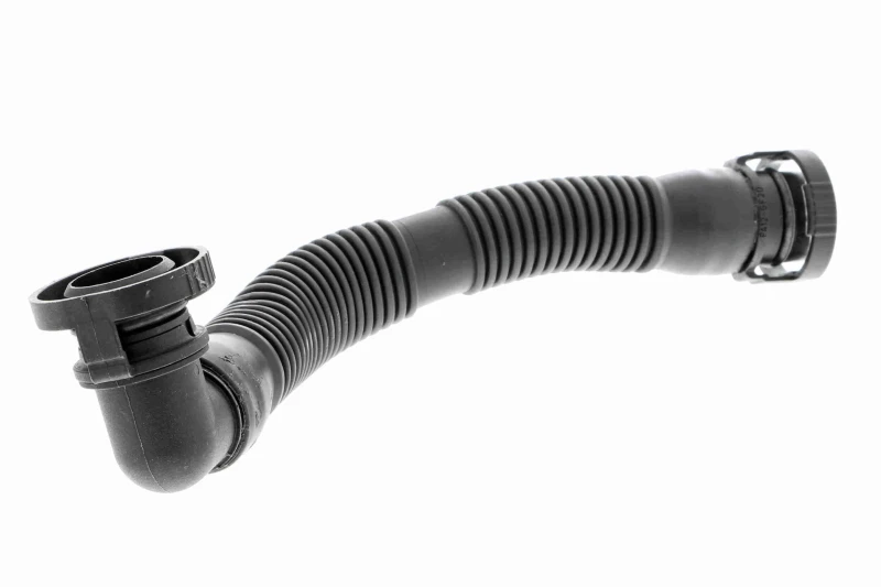 Image of Hose, air supply VAICO V20-2934