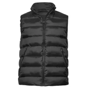 Image of Tee Jays Unisex Adult Lite Body Warmer (3XL) (Black)