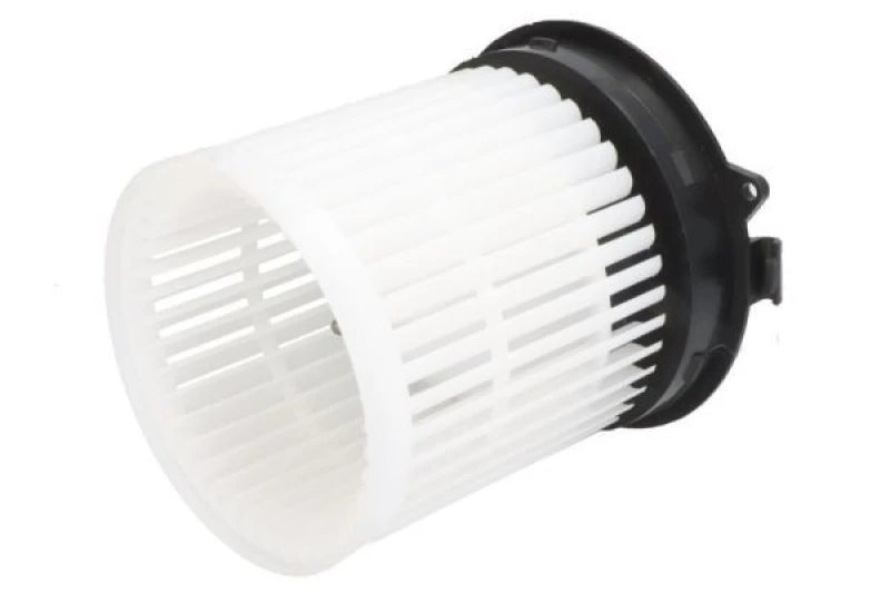 Image of THERMOTEC Blower motor THERMOTEC DD1007TT