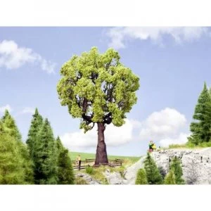 Image of NOCH 0021761 Tree Oak 190 mm