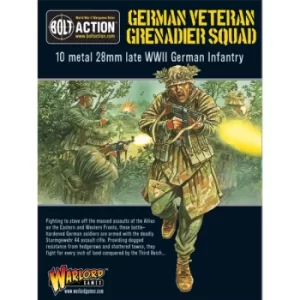 Image of Veteran Grenadiers