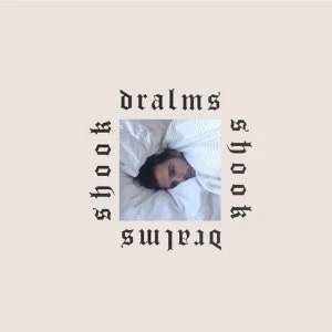 Image of Dralms - Shook Vinyl