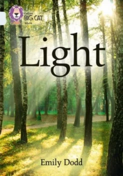 Image of Light by Emily Dodd Book