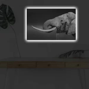 Image of 4570DHDACT-165 Multicolor Decorative LED Lighted Canvas Painting