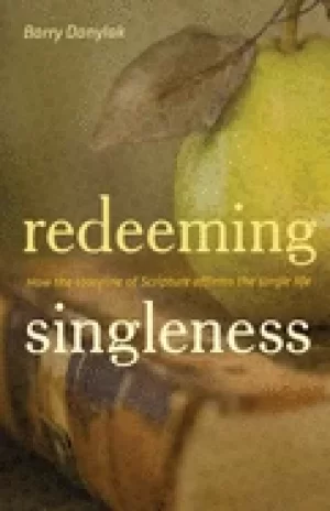 Image of redeeming singleness how the storyline of scripture affirms the single life