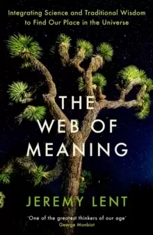 Image of The Web of Meaning : Integrating Science and Traditional Wisdom to Find Our Place in the Universe