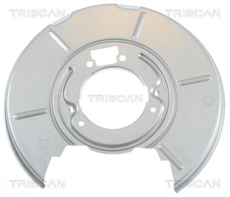 Image of TRISCAN Brake disc backing plate TRISCAN 8125 11208