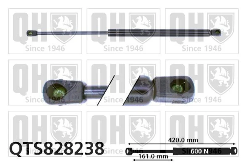 Image of QUINTON HAZELL Tailgate strut QUINTON HAZELL QTS828238