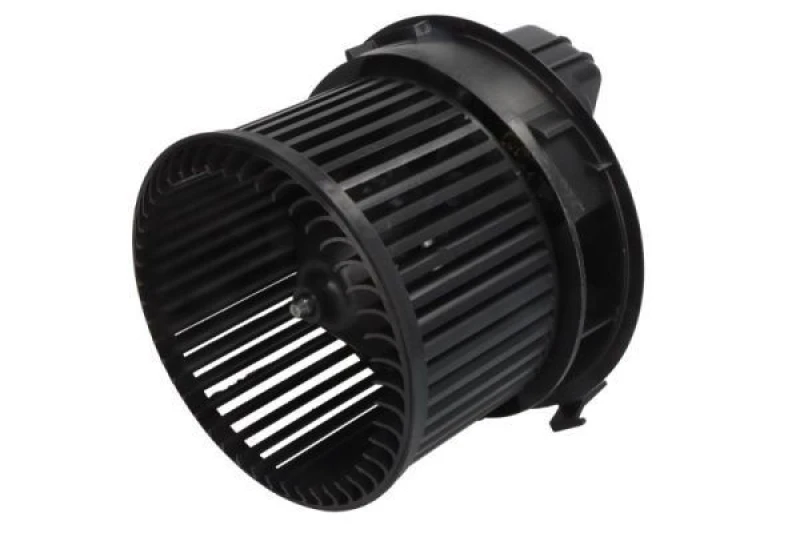 Image of THERMOTEC Blower motor THERMOTEC DD2012TT