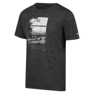 Image of Regatta Fingal VII Tshirt - Grey