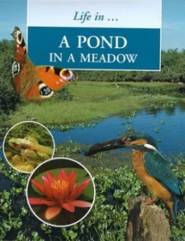 Image of Life in a Pond in a Meadow by Sally Morgan Hardback