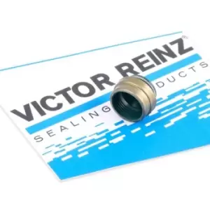 Image of REINZ Valve Stem Seals 70-25837-00 Valve Stem Oil Seals,Valve Seals VW,AUDI,BMW,Golf IV Schragheck (1J1)