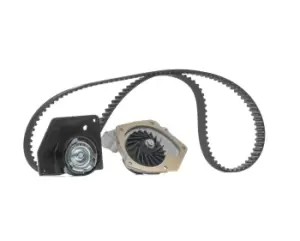 Image of SNR Water Pump + Timing Belt Kit RENAULT KDP455.610 1302800QAC,13028AW301,13028AW310 7701478846,8200087378,8200248497,8200251983,8200542743