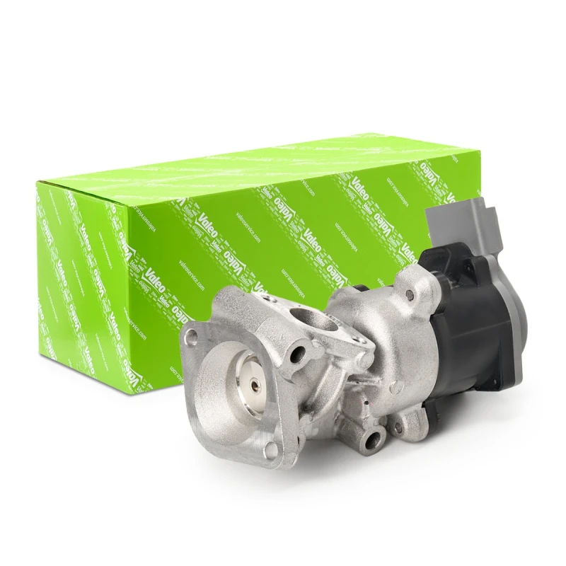 Image of EGR valve VALEO 700411