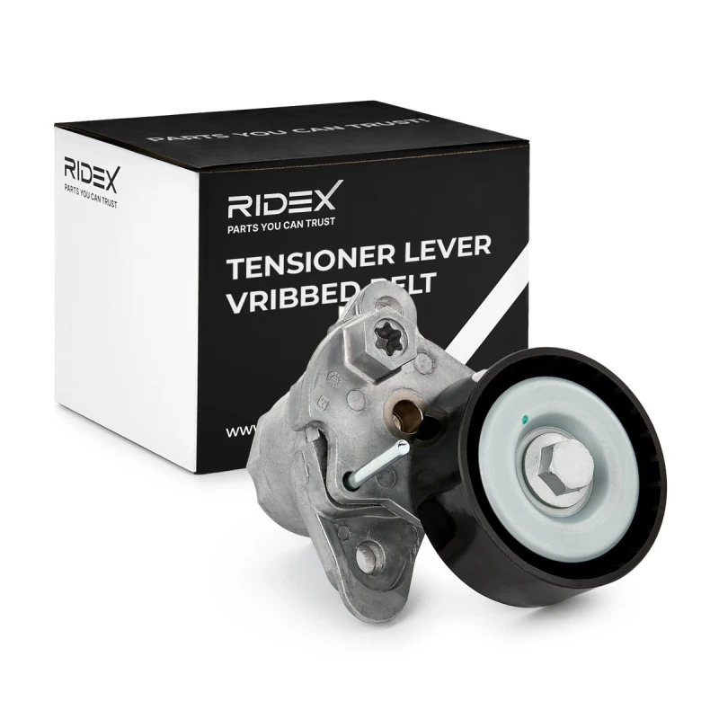 Image of Tensioner Lever, v-ribbed belt RIDEX 540T0032