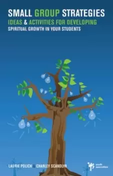 Image of Small group strategies by Laurie Polich