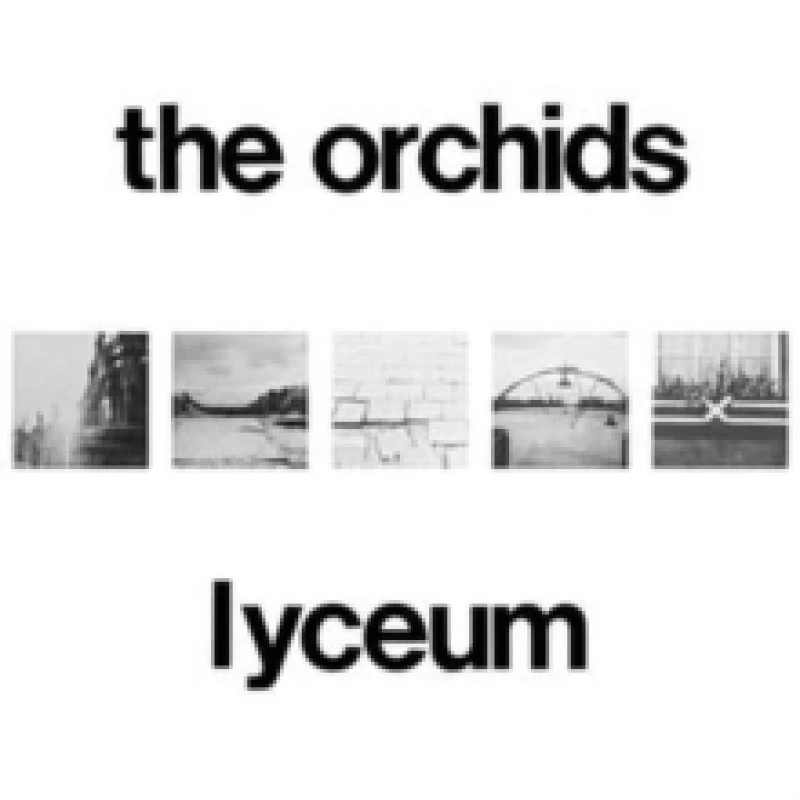 Image of Lyceum Vinyl
