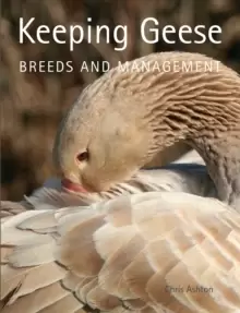Image of Keeping Geese : Breeds and Management