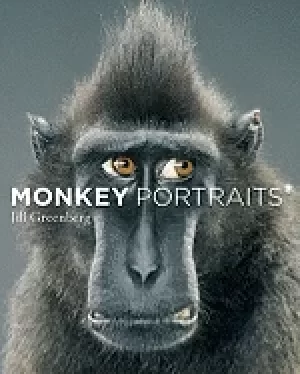 Image of monkey portraits