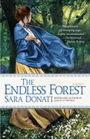 Image of endless forest
