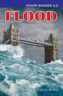 Image of Flood (Sharp Shades)