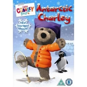 Image of Little Charley Bear Antarctic Charley DVD