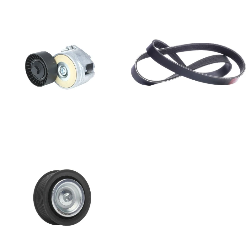 Image of RIDEX 542R0925 V-ribbed belt set V-Ribbed Belt Set (542)