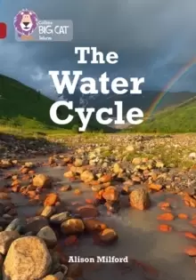 Image of The Water Cycle : Band 14/Ruby