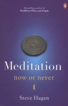 Image of Meditation by Steve Hagen