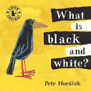 Image of What is Black and white? by Petr Horcek