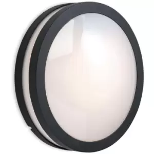 Image of Zenith - 1 Light Wall/Flush Ceiling Pendant Light Graphite, Opal Diffuser IP54, E27 - Firstlight