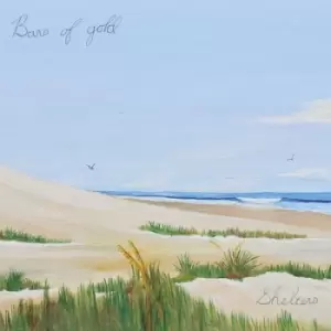 Image of Shelters by Bars of Gold CD Album