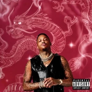 Image of Stay Dangerous by YG CD Album