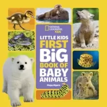 Image of Little Kids First Big Book of Baby Animals
