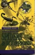 Image of field guide to spiders and scorpions of texas
