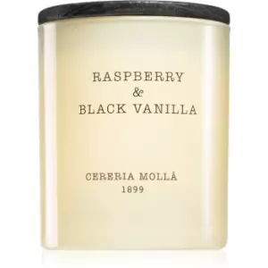 image of Cereria Molla Boutique Raspberry & Black Vanilla Scented Candle 230g