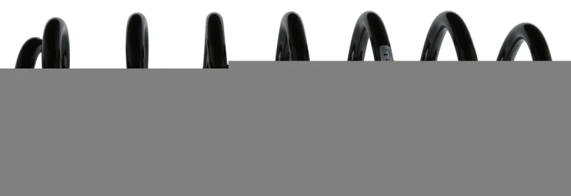 Image of Coil spring SACHS 994 893