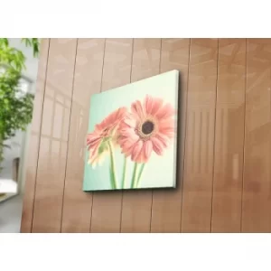 Image of 4545K-29 Multicolor Decorative Canvas Painting