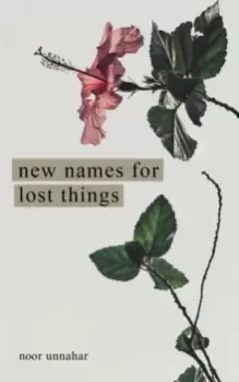 Image of New Names for Lost Things
