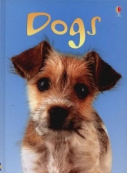 Image of Dogs by Emma Helbrough and Patrizia Donaera and Uwe Mayer and Emma Milne and Alison Kelly Hardback