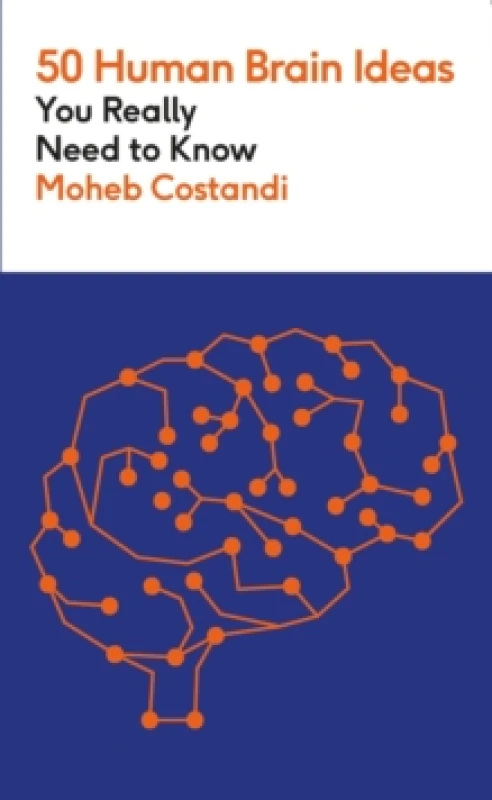 Image of 50 Human Brain Ideas You Really Need to Know Paperback / softback