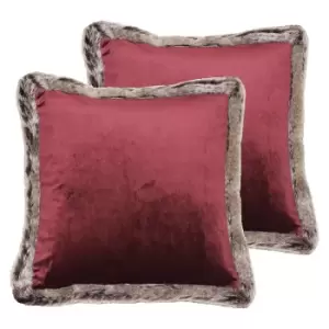 image of Kiruna Twin Pack Polyester Filled Cushions