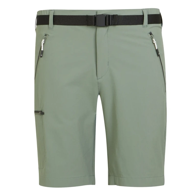 Image of Hiking shorts Regatta Xert III Vert Male 50