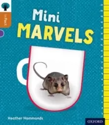 Image of Oxford Reading Tree inFact: Level 8: Mini Marvels
