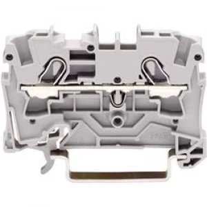 Image of PG terminal 6.20 mm Pull spring Configuration Terre Gre