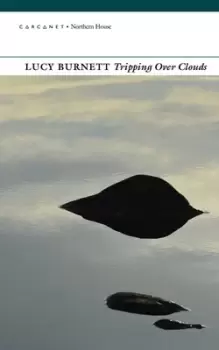 Image of Tripping over clouds by Lucy Burnett
