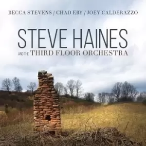 image of Steve Haines and the Third Floor Orchestra by Steve Haines and the Third Floor Orchestra CD Album