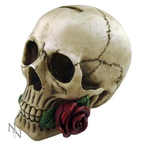 Image of Argentine Skull