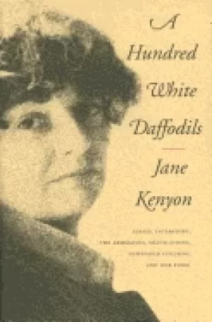 Image of hundred white daffodils