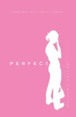 Image of perfect a novel